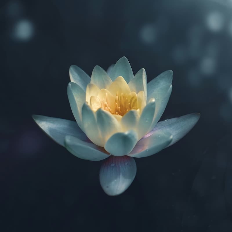 Flower blooming